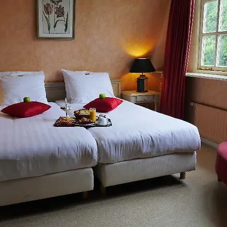 Hotel Alp De Veenen 3*