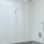 Alp De Veenen 암스텔벤