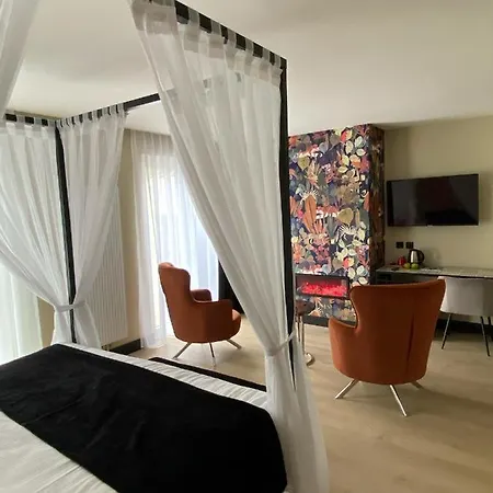 호텔 Alp De Veenen