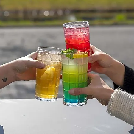 阿尔普维内酒店 酒店 3*
