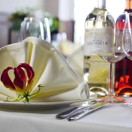 Alp De Veenen 호텔