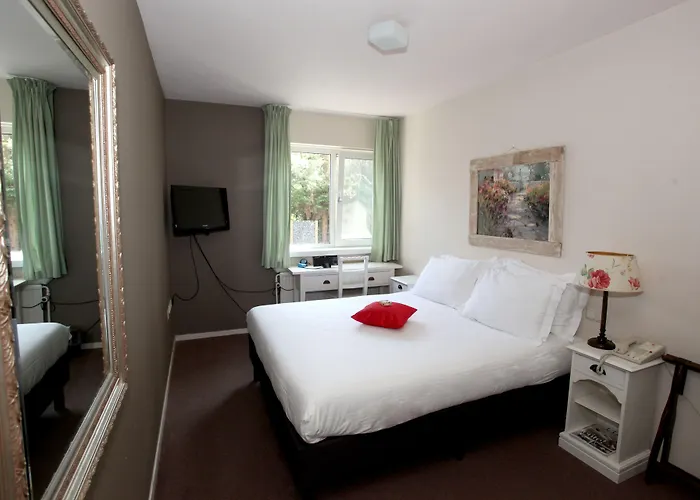 מלון Alp De Veenen