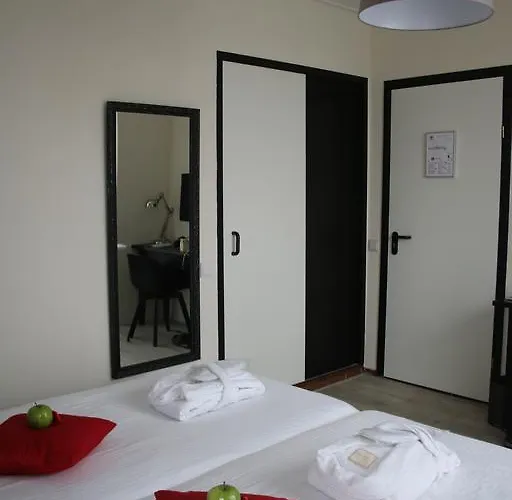 Alp De Veenen 3* אמסטלבין